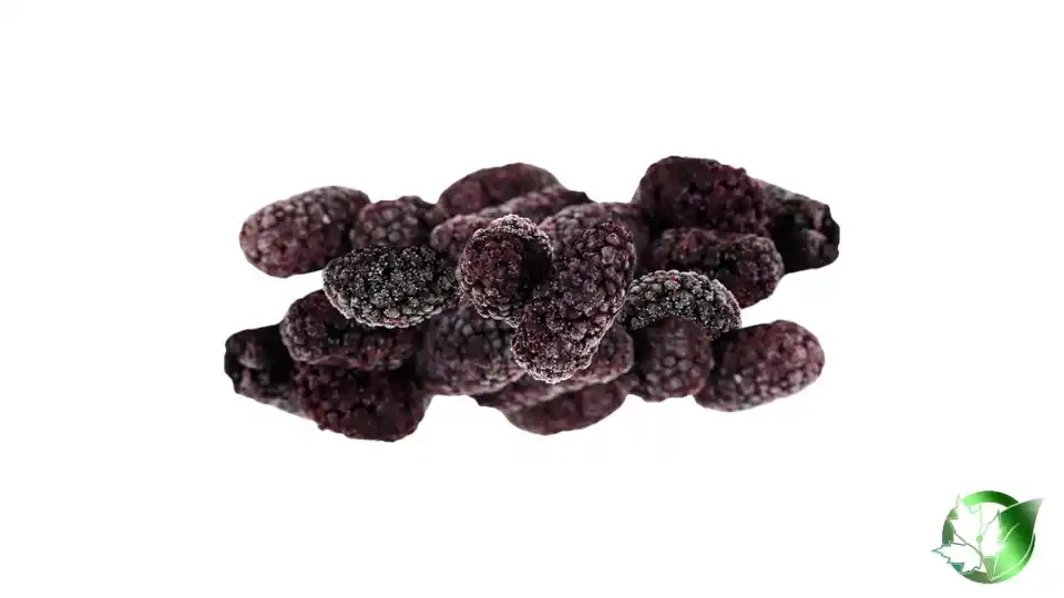 Bulk Frozen Black Mulberries | Suppliers | Wholesale | ParsaFood Global